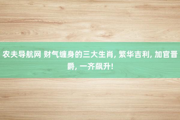 农夫导航网 财气缠身的三大生肖, 繁华吉利, 加官晋爵, 一齐飙升!