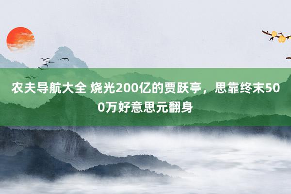 农夫导航大全 烧光200亿的贾跃亭，思靠终末500万好意思元翻身