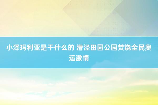 小泽玛利亚是干什么的 漕泾田园公园焚烧全民奥运激情