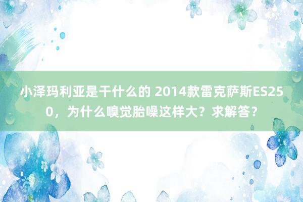 小泽玛利亚是干什么的 2014款雷克萨斯ES250，为什么嗅觉胎噪这样大？求解答？