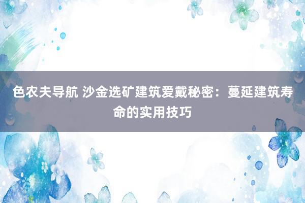 色农夫导航 沙金选矿建筑爱戴秘密：蔓延建筑寿命的实用技巧