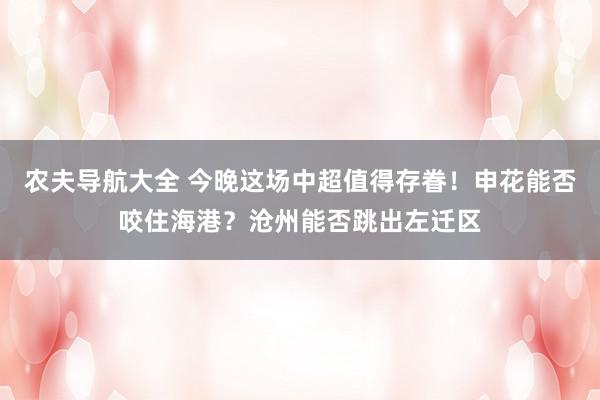 农夫导航大全 今晚这场中超值得存眷！申花能否咬住海港？沧州能否跳出左迁区