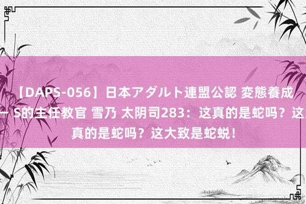 【DAPS-056】日本アダルト連盟公認 変態養成教育センター S的主任教官 雪乃 太阴司283：这真的是蛇吗？这大致是蛇蜕！