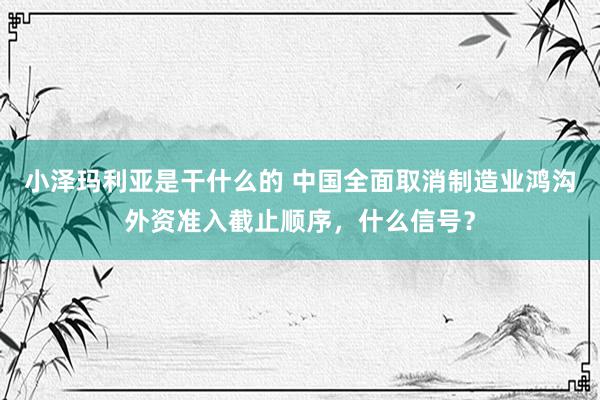 小泽玛利亚是干什么的 中国全面取消制造业鸿沟外资准入截止顺序，什么信号？