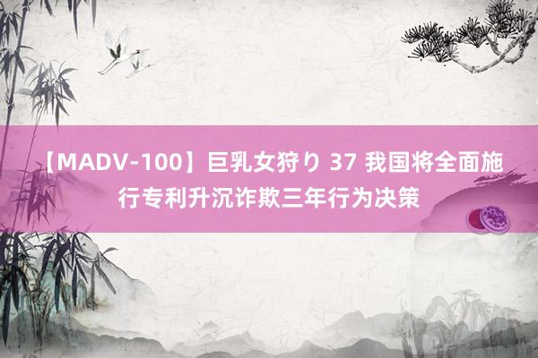 【MADV-100】巨乳女狩り 37 我国将全面施行专利升沉诈欺三年行为决策