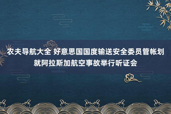 农夫导航大全 好意思国国度输送安全委员管帐划就阿拉斯加航空事故举行听证会