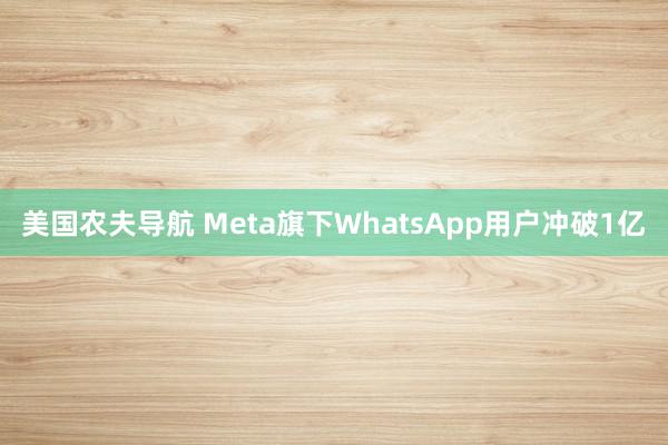 美国农夫导航 Meta旗下WhatsApp用户冲破1亿