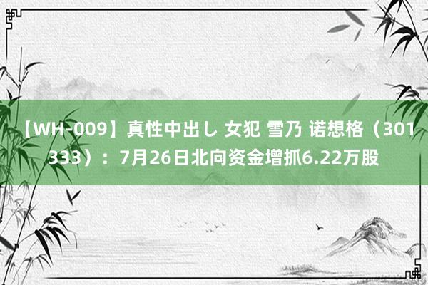 【WH-009】真性中出し 女犯 雪乃 诺想格（301333）：7月26日北向资金增抓6.22万股