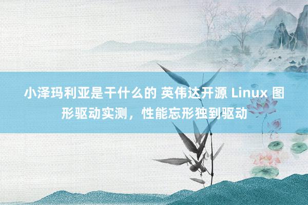 小泽玛利亚是干什么的 英伟达开源 Linux 图形驱动实测，性能忘形独到驱动