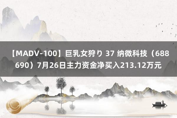 【MADV-100】巨乳女狩り 37 纳微科技（688690）7月26日主力资金净买入213.12万元