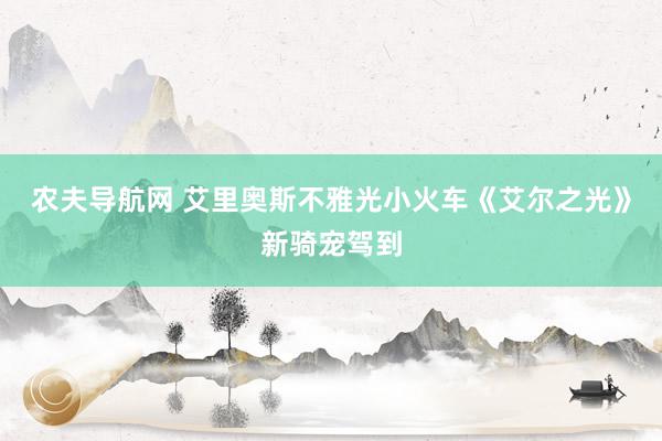 农夫导航网 艾里奥斯不雅光小火车《艾尔之光》新骑宠驾到