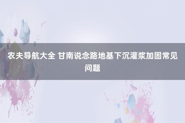 农夫导航大全 甘南说念路地基下沉灌浆加固常见问题