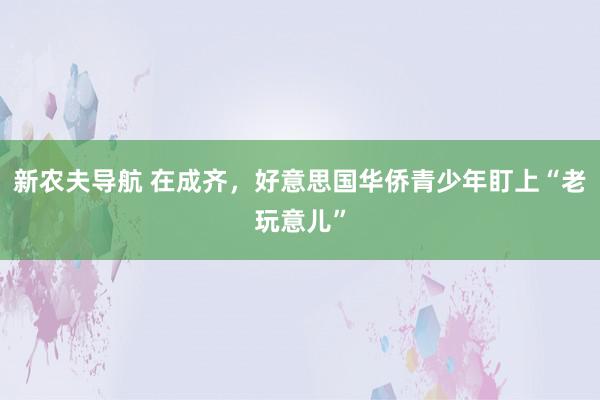 新农夫导航 在成齐，好意思国华侨青少年盯上“老玩意儿”