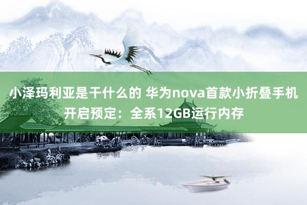 小泽玛利亚是干什么的 华为nova首款小折叠手机开启预定：全系12GB运行内存