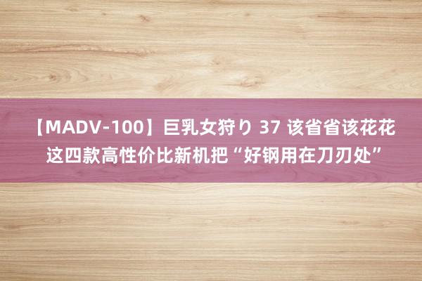 【MADV-100】巨乳女狩り 37 该省省该花花 这四款高性价比新机把“好钢用在刀刃处”