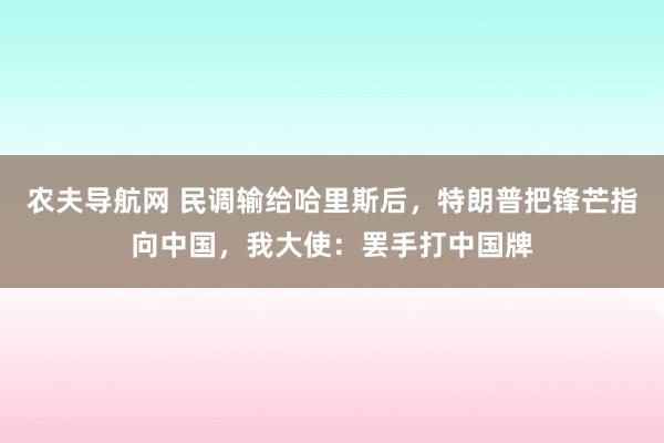 农夫导航网 民调输给哈里斯后，特朗普把锋芒指向中国，我大使：罢手打中国牌