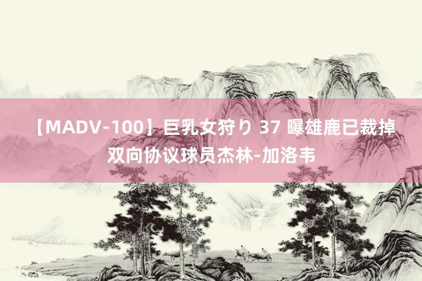 【MADV-100】巨乳女狩り 37 曝雄鹿已裁掉双向协议球员杰林-加洛韦