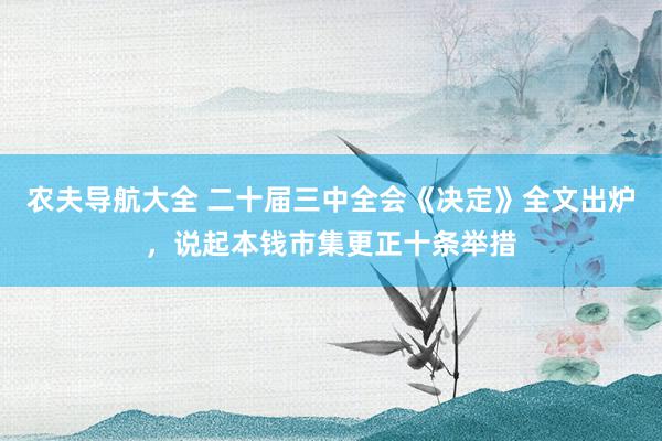 农夫导航大全 二十届三中全会《决定》全文出炉，说起本钱市集更正十条举措