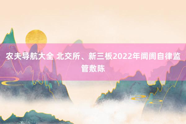 农夫导航大全 北交所、新三板2022年阛阓自律监管敷陈