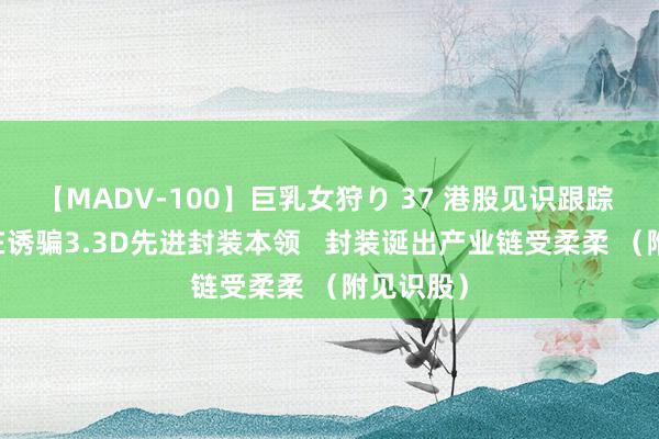 【MADV-100】巨乳女狩り 37 港股见识跟踪 |三星正在诱骗3.3D先进封装本领   封装诞出产业链受柔柔 （附见识股）