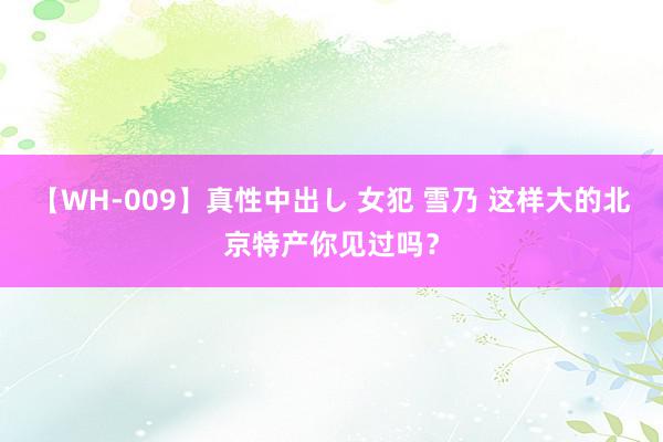 【WH-009】真性中出し 女犯 雪乃 这样大的北京特产你见过吗？