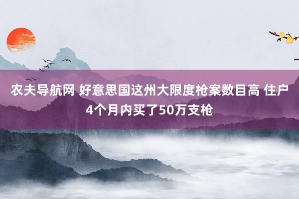 农夫导航网 好意思国这州大限度枪案数目高 住户4个月内买了50万支枪