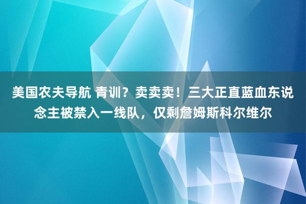 美国农夫导航 青训？卖卖卖！三大正直蓝血东说念主被禁入一线队，仅剩詹姆斯科尔维尔