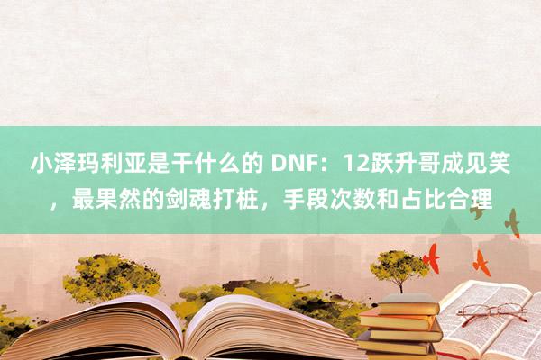 小泽玛利亚是干什么的 DNF：12跃升哥成见笑，最果然的剑魂打桩，手段次数和占比合理