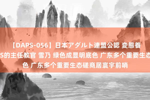 【DAPS-056】日本アダルト連盟公認 変態養成教育センター S的主任教官 雪乃 绿色成显明底色 广东多个重要生态磋商居寰宇前哨