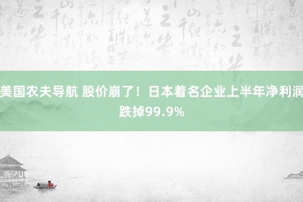 美国农夫导航 股价崩了！日本着名企业上半年净利润跌掉99.9%