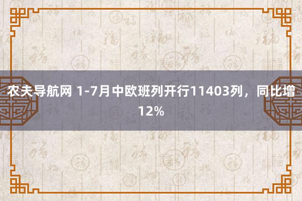 农夫导航网 1-7月中欧班列开行11403列，同比增12%