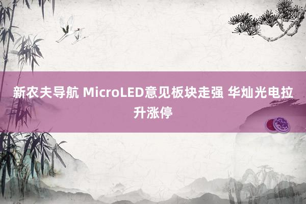 新农夫导航 MicroLED意见板块走强 华灿光电拉升涨停