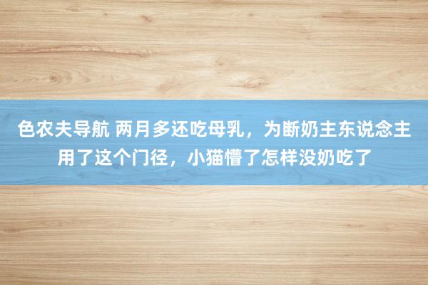 色农夫导航 两月多还吃母乳，为断奶主东说念主用了这个门径，小猫懵了怎样没奶吃了