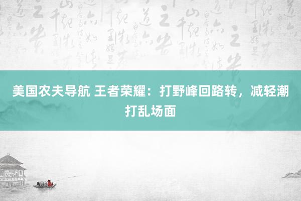 美国农夫导航 王者荣耀：打野峰回路转，减轻潮打乱场面