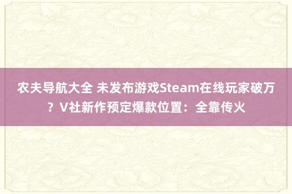 农夫导航大全 未发布游戏Steam在线玩家破万？V社新作预定爆款位置：全靠传火