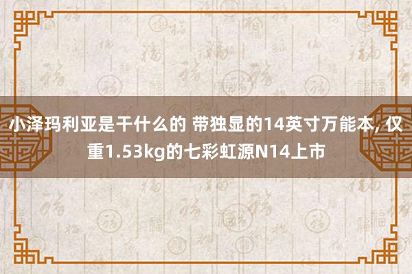 小泽玛利亚是干什么的 带独显的14英寸万能本, 仅重1.53kg的七彩虹源N14上市