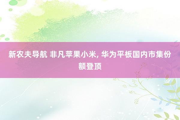 新农夫导航 非凡苹果小米, 华为平板国内市集份额登顶