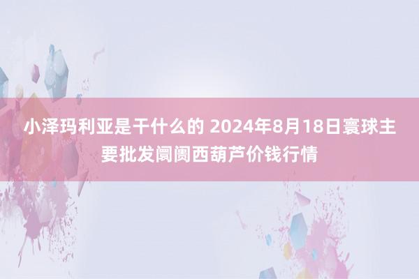 小泽玛利亚是干什么的 2024年8月18日寰球主要批发阛阓西葫芦价钱行情