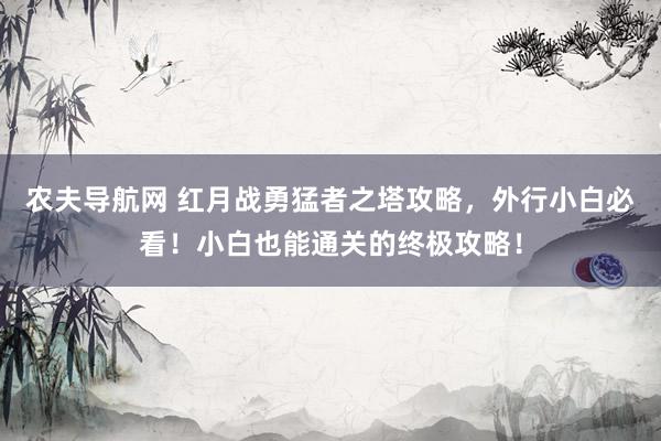 农夫导航网 红月战勇猛者之塔攻略，外行小白必看！小白也能通关的终极攻略！