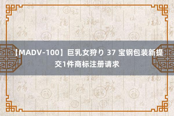 【MADV-100】巨乳女狩り 37 宝钢包装新提交1件商标注册请求