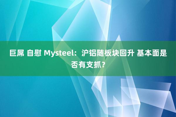 巨屌 自慰 Mysteel：沪铝随板块回升 基本面是否有支抓？