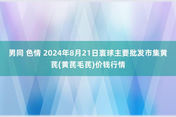 男同 色情 2024年8月21日寰球主要批发市集黄芪(黄芪毛芪)价钱行情