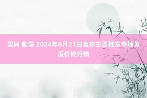 男同 動漫 2024年8月21日寰球主要批发商场黄瓜价钱行情