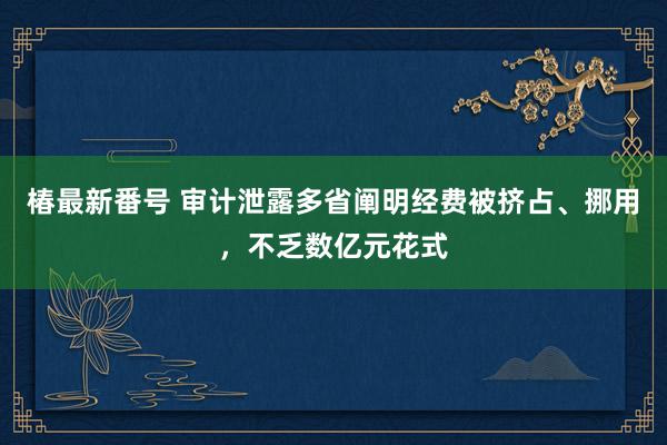 椿最新番号 审计泄露多省阐明经费被挤占、挪用，不乏数亿元花式