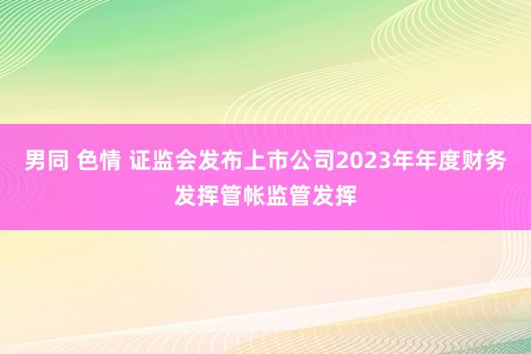 男同 色情 证监会发布上市公司2023年年度财务发挥管帐监管发挥