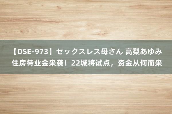 【DSE-973】セックスレス母さん 高梨あゆみ 住房待业金来袭！22城将试点，资金从何而来