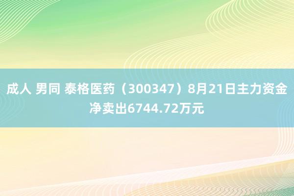 成人 男同 泰格医药（300347）8月21日主力资金净卖出6744.72万元