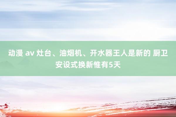 动漫 av 灶台、油烟机、开水器王人是新的 厨卫安设式换新惟有5天