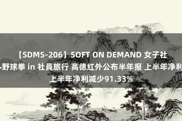 【SDMS-206】SOFT ON DEMAND 女子社員スペシャル野球拳 in 社員旅行 高德红外公布半年报 上半年净利减少91.33%