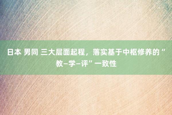 日本 男同 三大层面起程，落实基于中枢修养的“教—学—评”一致性